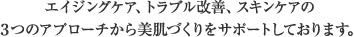 アンチエイジング、トラブル改善、スキンケアの３つのアプローチから美肌づくりをサポートしております。
